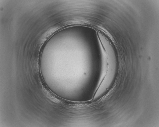 X0000078270938200611251350