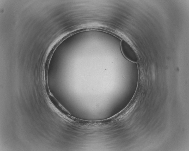 X0000078270939200611251350