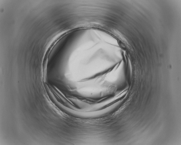 X0000078270940200611251350