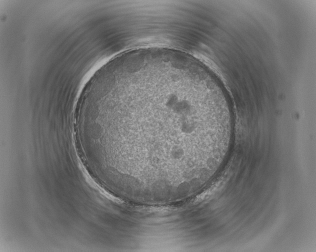 X0000078270941200611251350