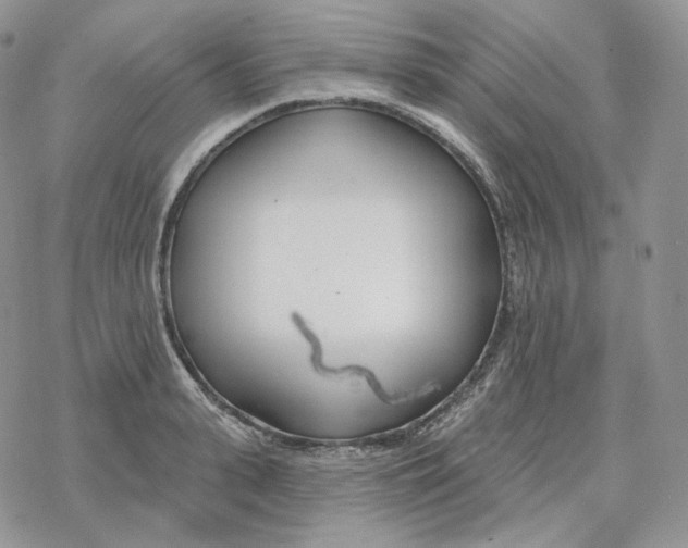 X0000078270943200611251350