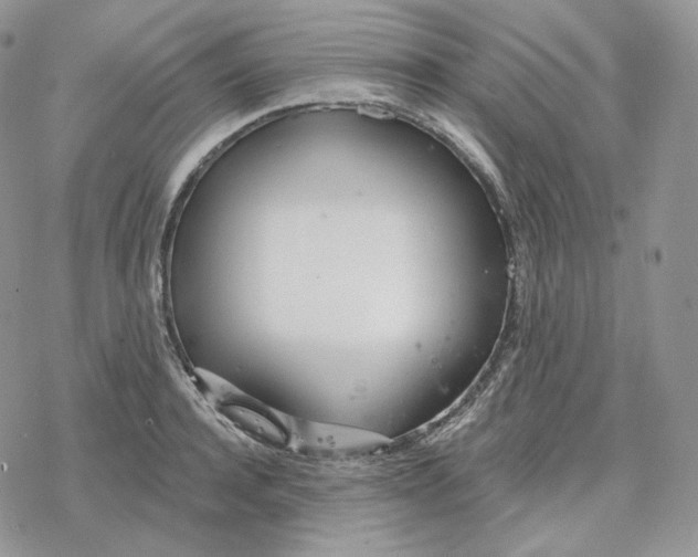 X0000078270944200611251350