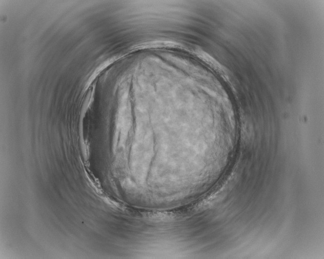 X0000078270945200611251350