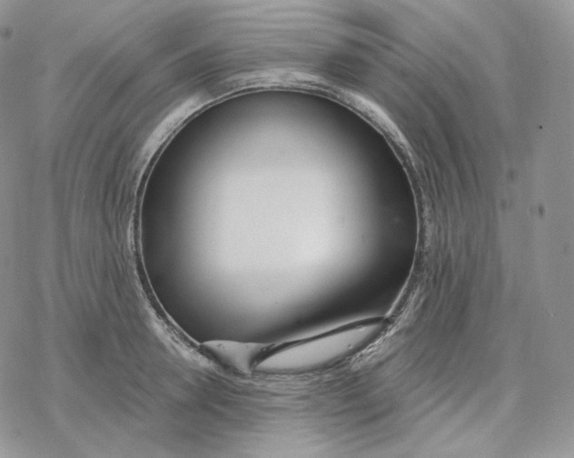 X0000078270946200611251350