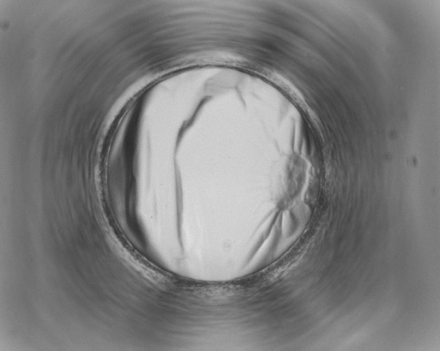 X0000078270947200611251350