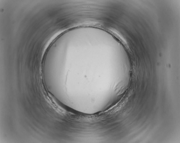 X0000078270948200611251350