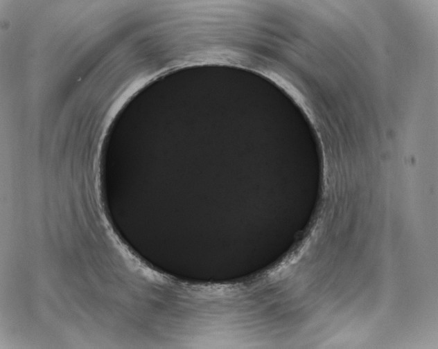 X0000078270949200611251350