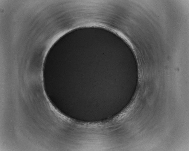 X0000078270951200611251350