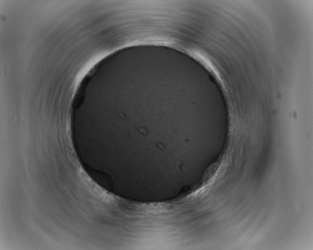 X0000078270952200611251350