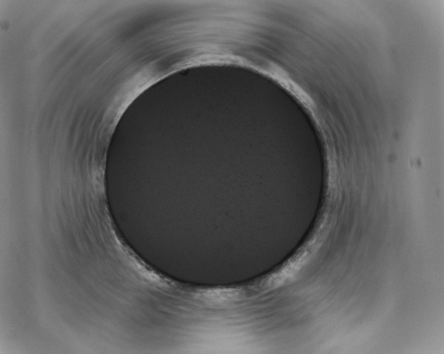 X0000078270953200611251350