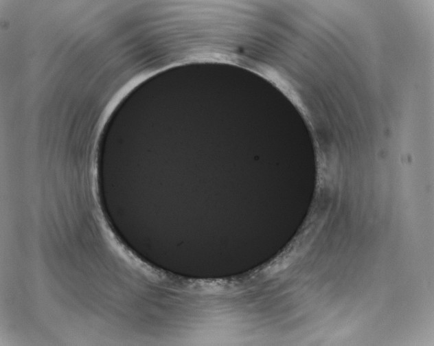 X0000078270955200611251350