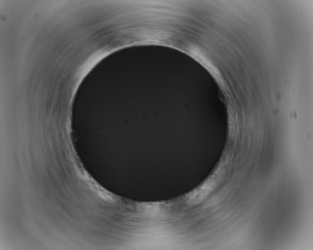 X0000078270956200611251350