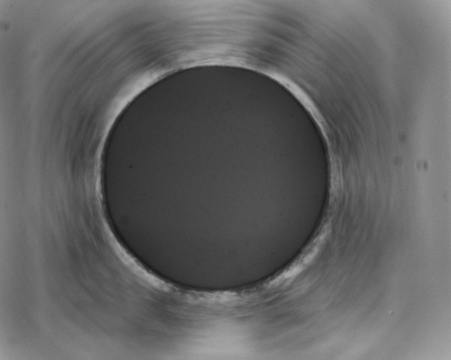 X0000078270957200611251350