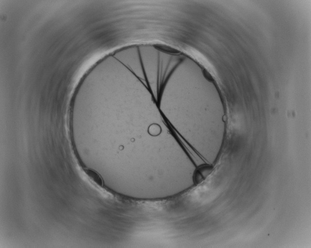 X0000078270958200611251350