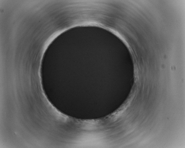 X0000078270959200611251350