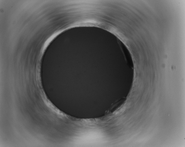 X0000078270960200611251350