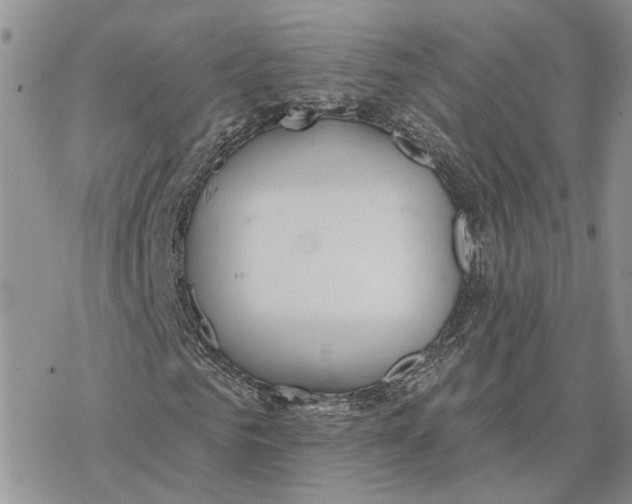 X0000078270961200611251349