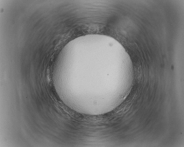 X0000078270962200611251349