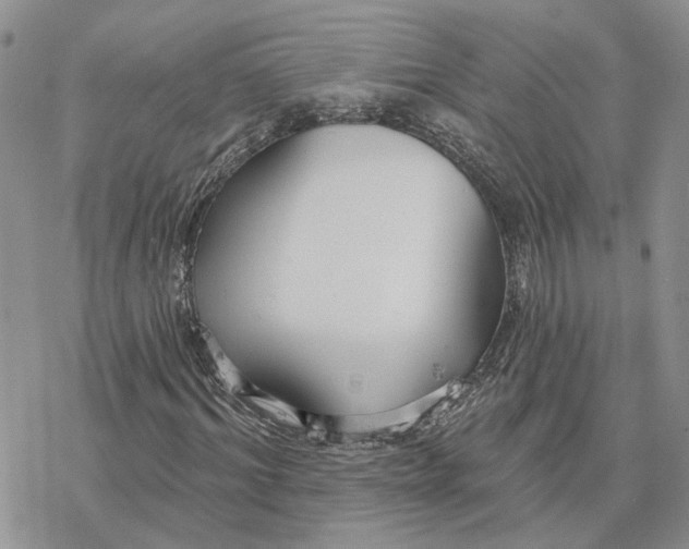 X0000078270964200611251349