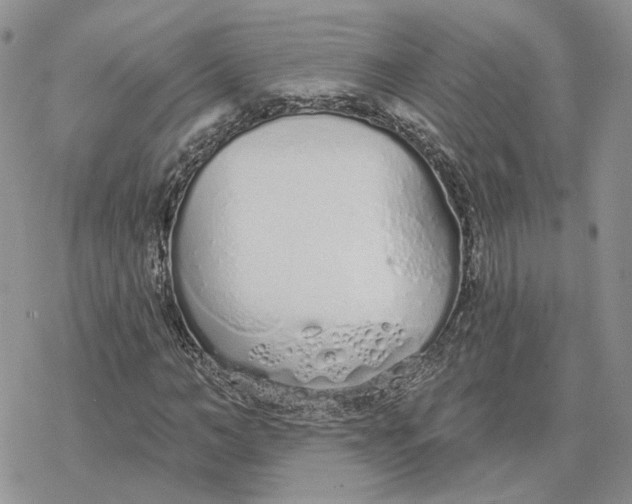 X0000078270966200611251349