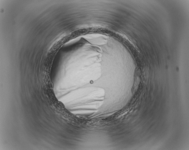 X0000078270967200611251349