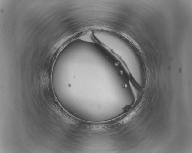 X0000078270969200611251349