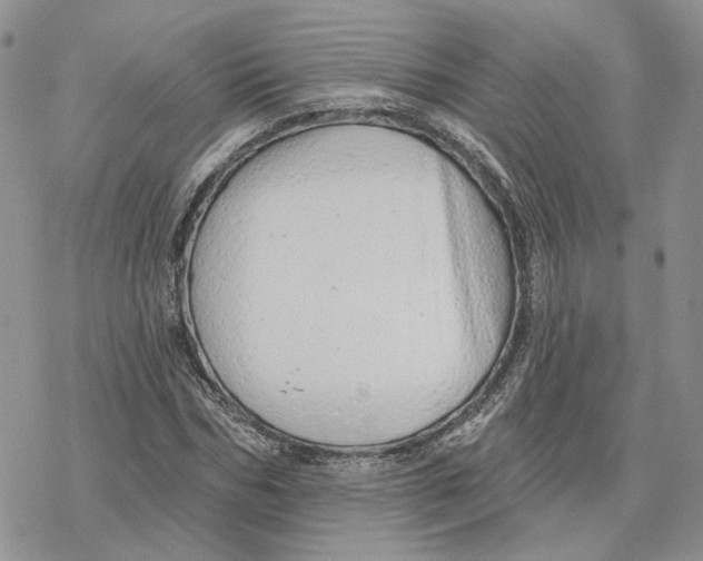 X0000078270970200611251349