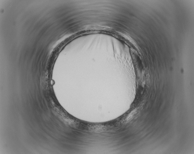 X0000078270971200611251349