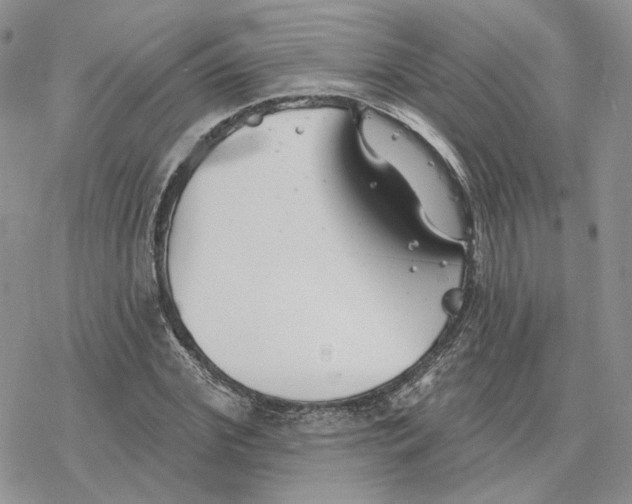 X0000078270972200611251349