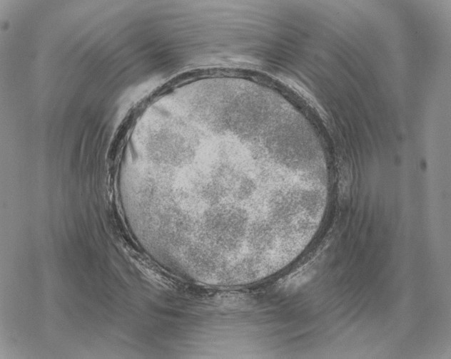 X0000078270974200611251349