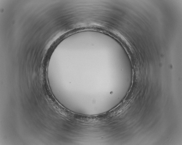 X0000078270975200611251349