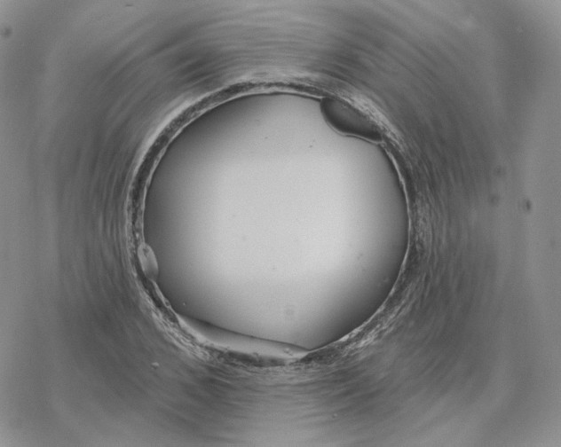 X0000078270976200611251349