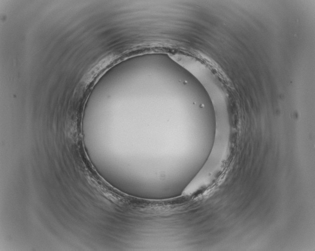 X0000078270977200611251349