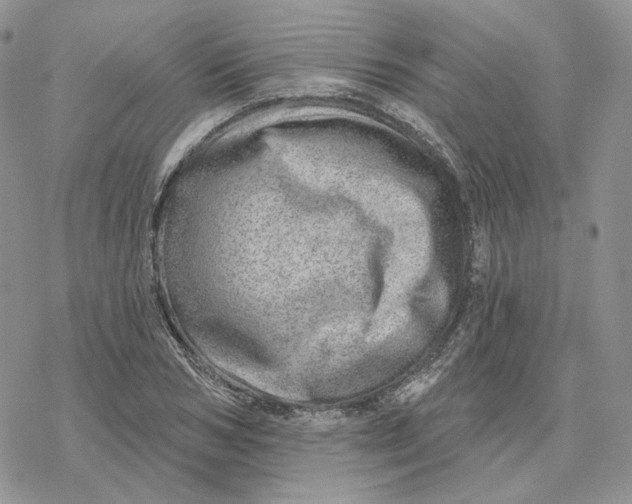 X0000078270978200611251349