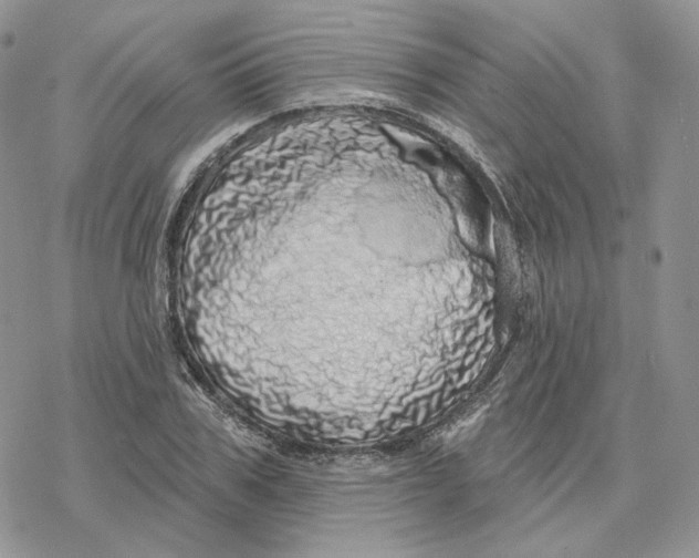 X0000078270979200611251349