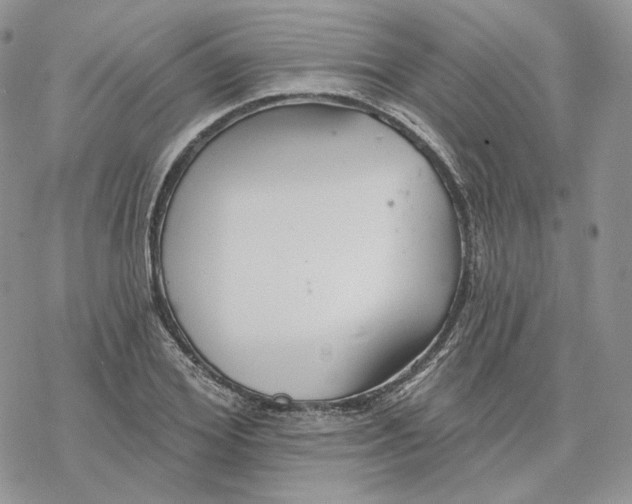 X0000078270980200611251349