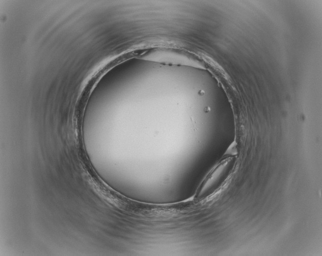 X0000078270981200611251349