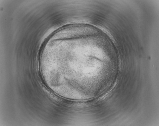 X0000078270982200611251349