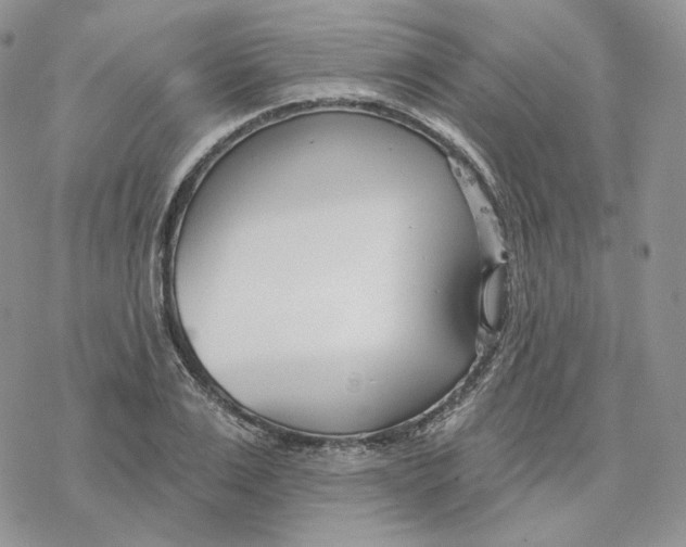 X0000078270983200611251349