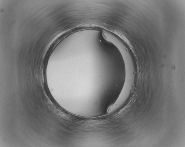 X0000078270984200611251349