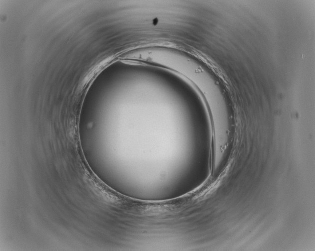 X0000078270985200611251349