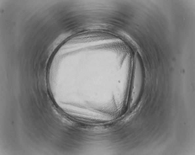 X0000078270986200611251349