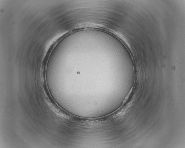 X0000078270987200611251349