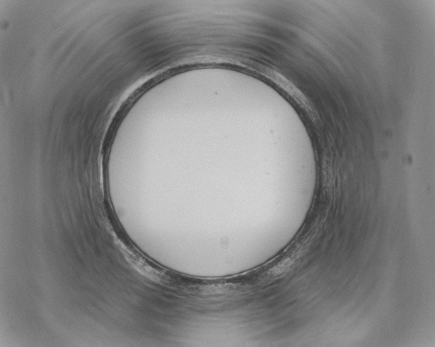 X0000078270988200611251349