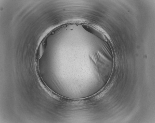 X0000078270989200611251349