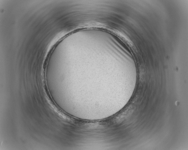 X0000078270990200611251349