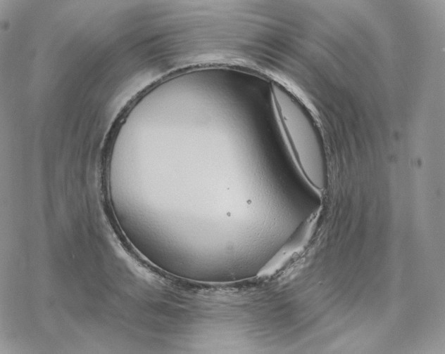 X0000078270991200611251349