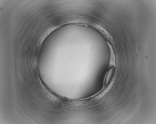 X0000078270993200611251349