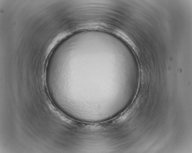 X0000078270994200611251349