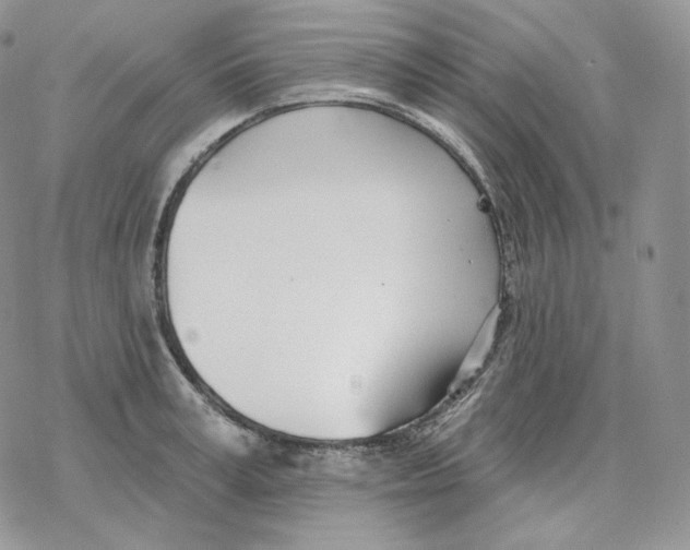 X0000078270995200611251349